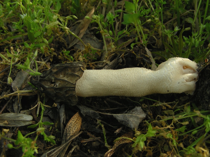 altro sopralluogo nei parchi